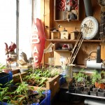 atelier-serre