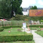 jardin vue d'ensemble