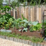le potager
