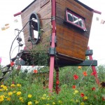 cabane fleurie